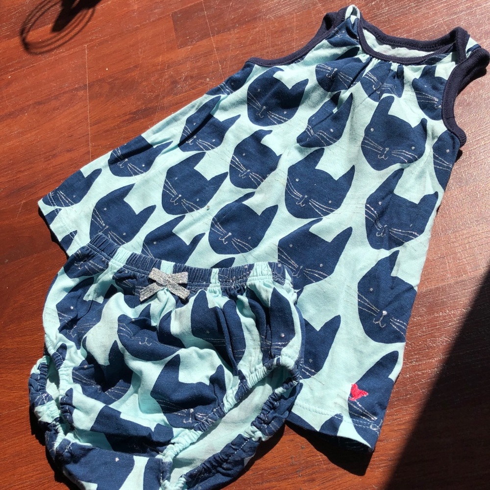 Pink Chicken | Blue Cat Print Dress